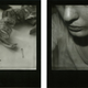 Illustration for article titled Polaroid Unveils 2008 Lineup: Media Storage, TV and Digital Imaging